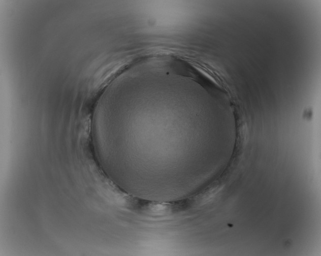 X0000111900325200908171245