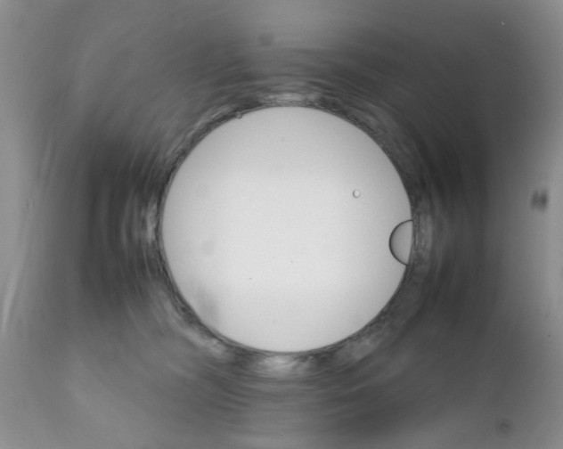 X0000111900326200908171245