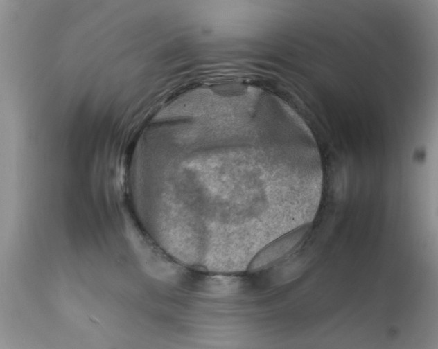 X0000111900328200908171244