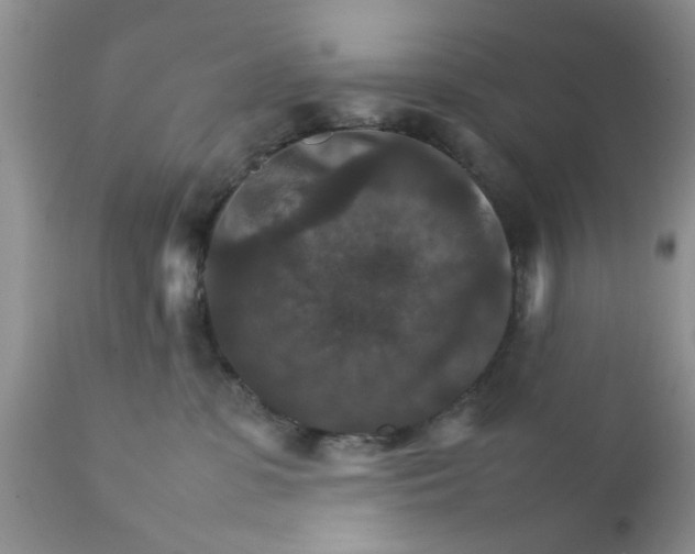 X0000111900331200908171244