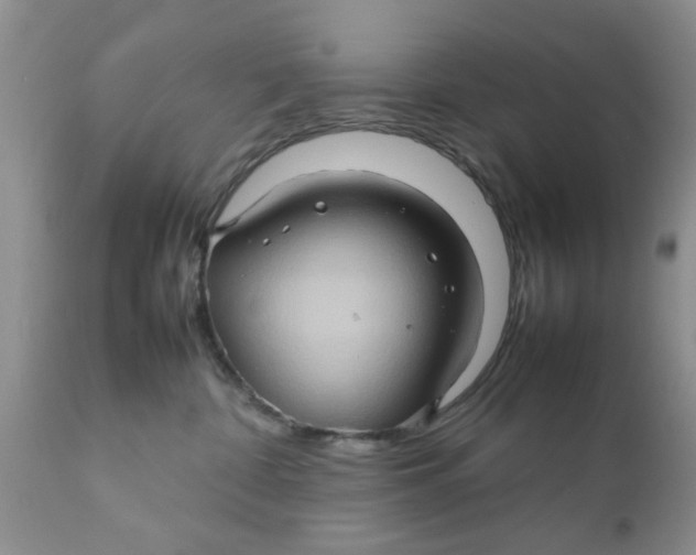 X0000111900332200908171244