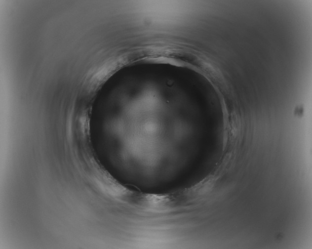 X0000111900333200908171244