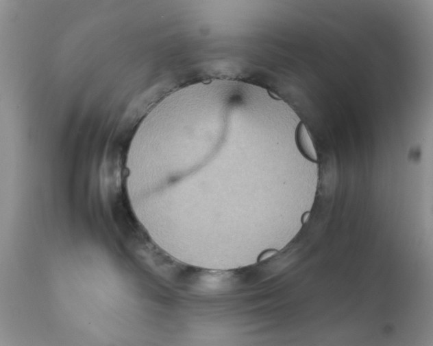 X0000111900334200908171244