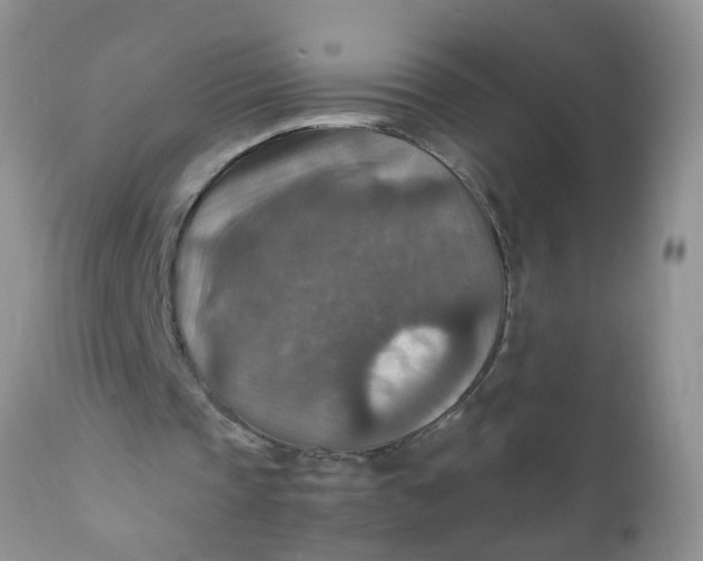 X0000111900337200908171243