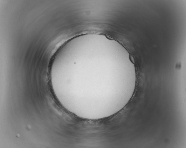 X0000111900338200908171243