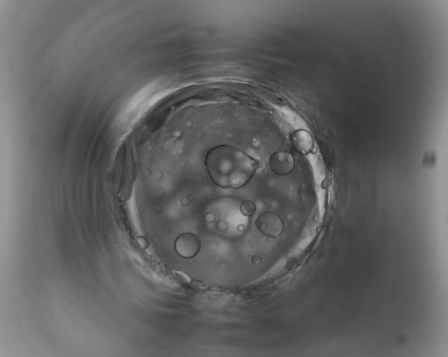 X0000111900339200908171243