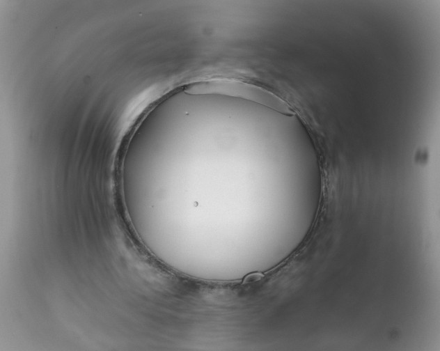 X0000111900340200908171243