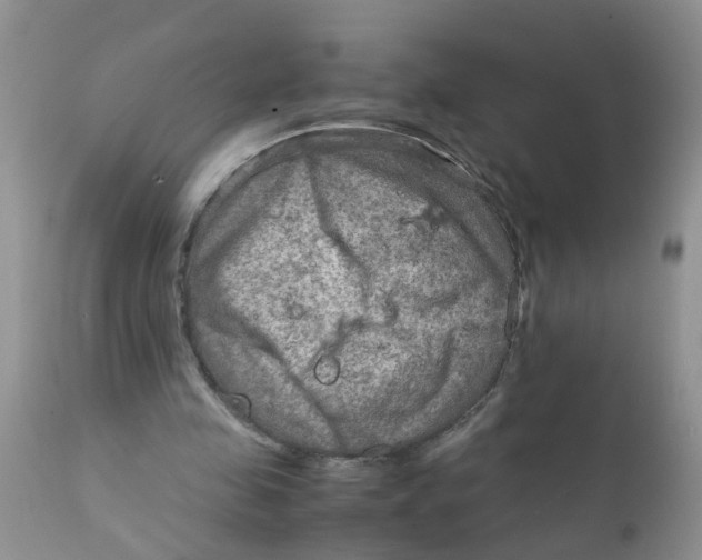 X0000111900341200908171243