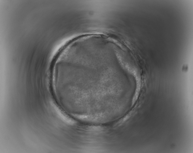 X0000111900342200908171244