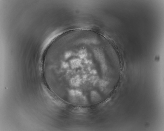 X0000111900343200908171244