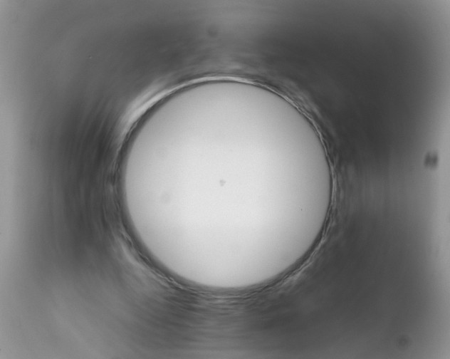 X0000111900344200908171244