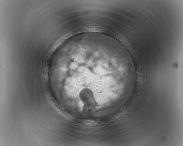 X0000111900347200908171244