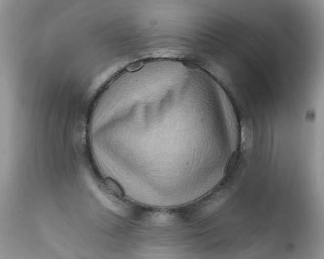 X0000111900348200908171244