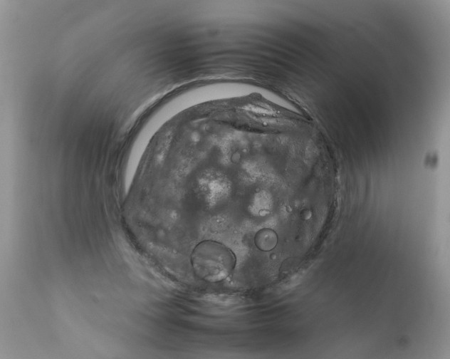 X0000111900351200908171244