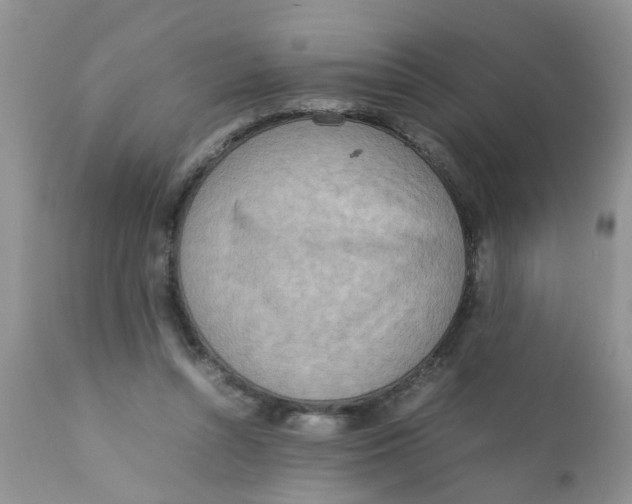 X0000111900352200908171244