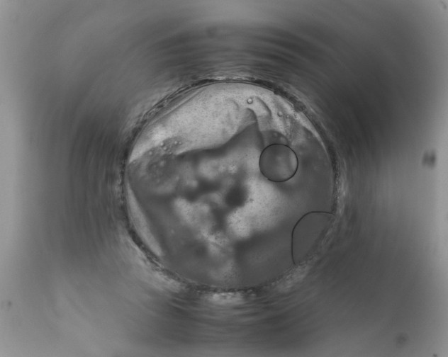 X0000111900353200908171244