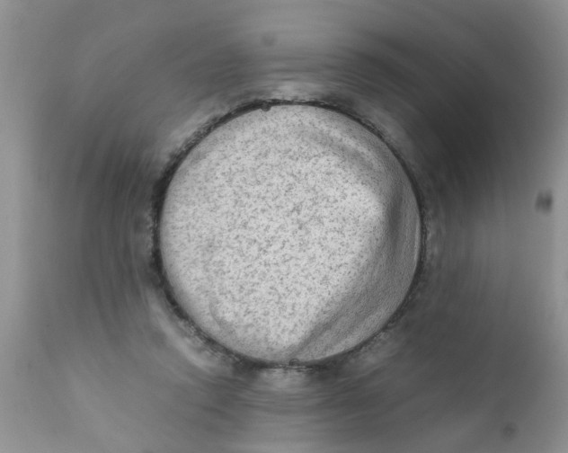 X0000111900354200908171244