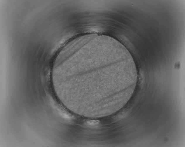 X0000111900355200908171244