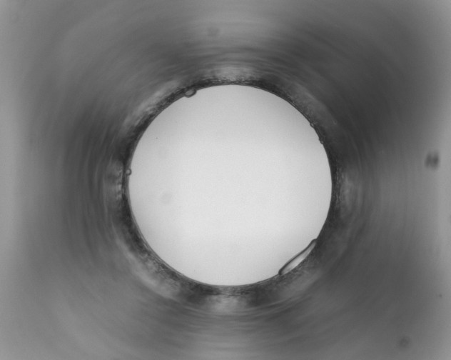 X0000111900356200908171244