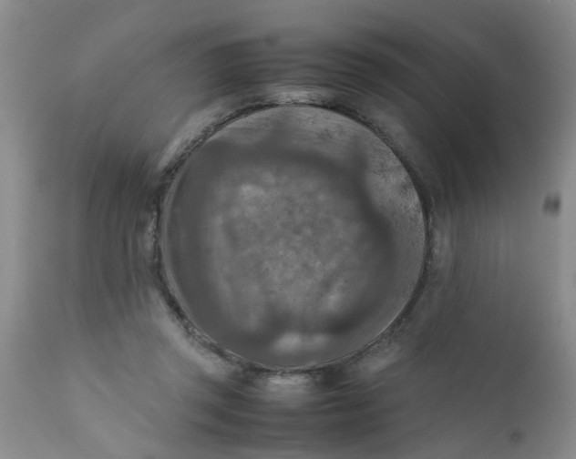 X0000111900357200908171244