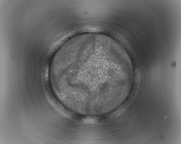 X0000111900358200908171244