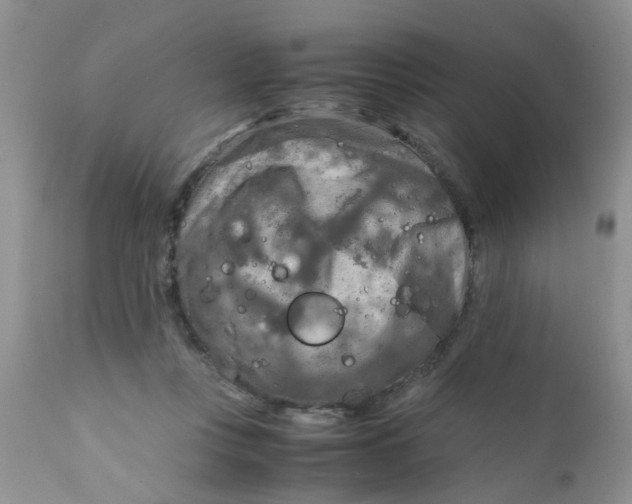 X0000111900359200908171244