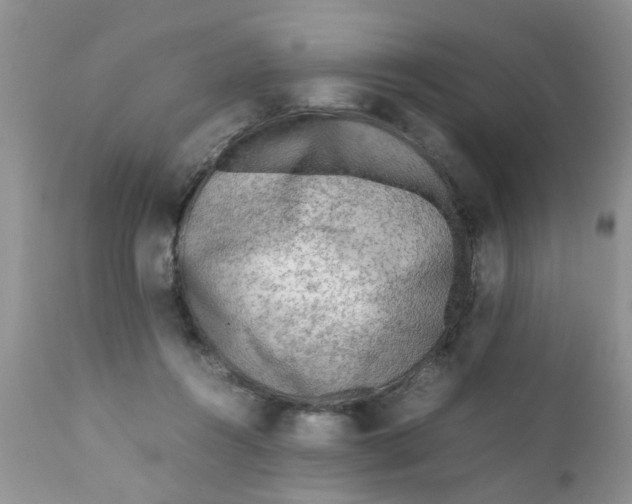 X0000111900360200908171244