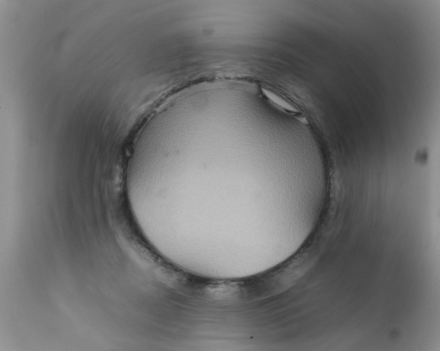 X0000111900362200908171244