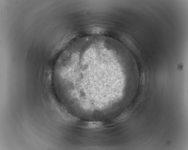 X0000111900363200908171244