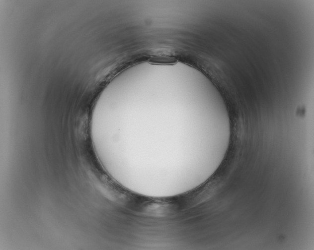 X0000111900364200908171244