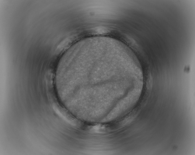 X0000111900366200908171244