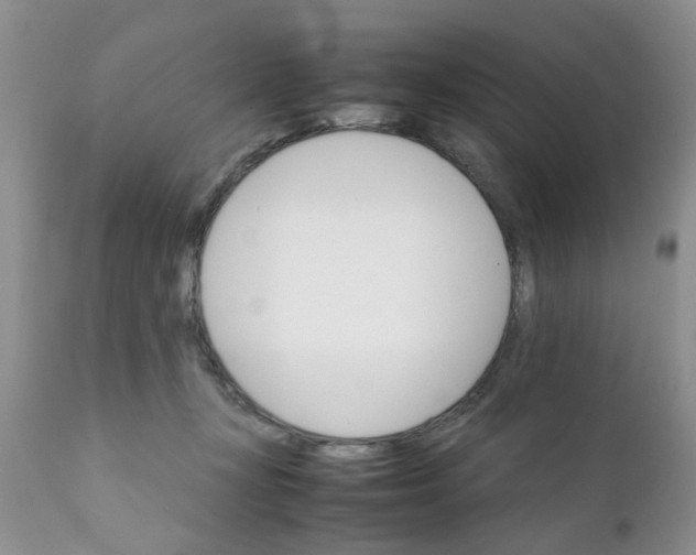 X0000111900367200908171244