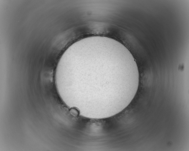 X0000111900368200908171244