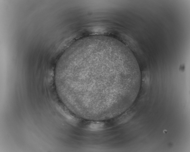 X0000111900369200908171244