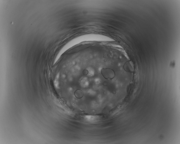 X0000111900371200908171244