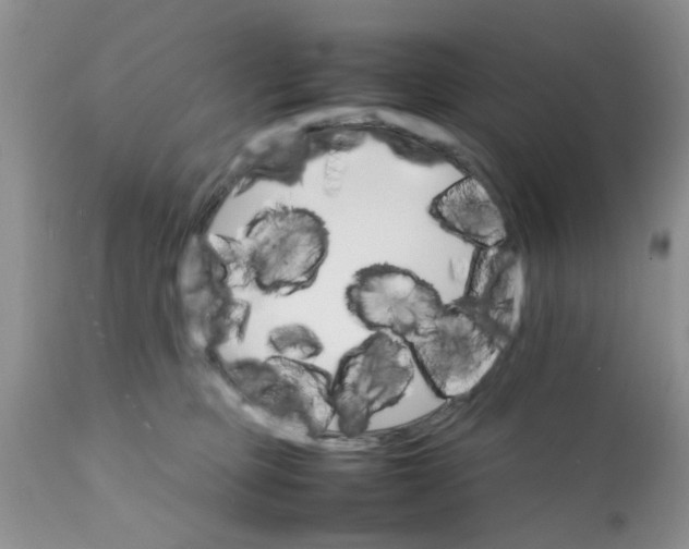 X0000111900373200908171244