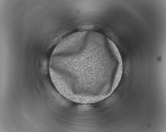 X0000111900378200908171244