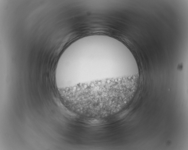 X0000111900379200908171244