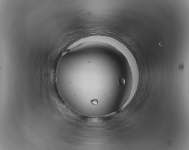 X0000111900380200908171244