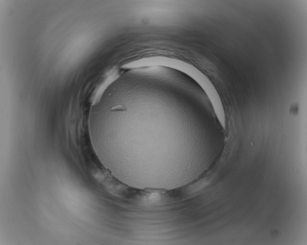 X0000111900382200908171244