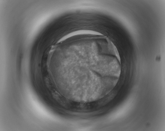 X0000111900383200908171244