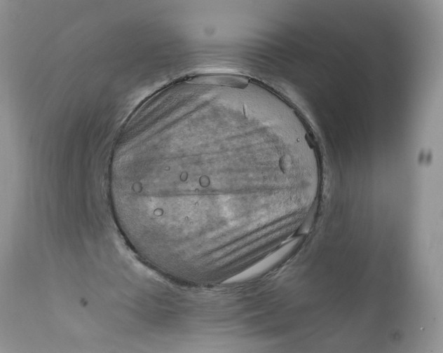 X0000111900385200908171243