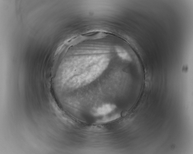 X0000111900386200908171243