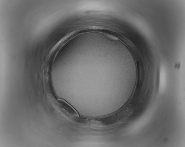 X0000111900387200908171243