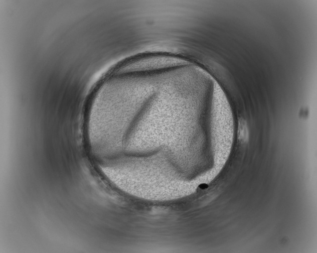 X0000111900388200908171243