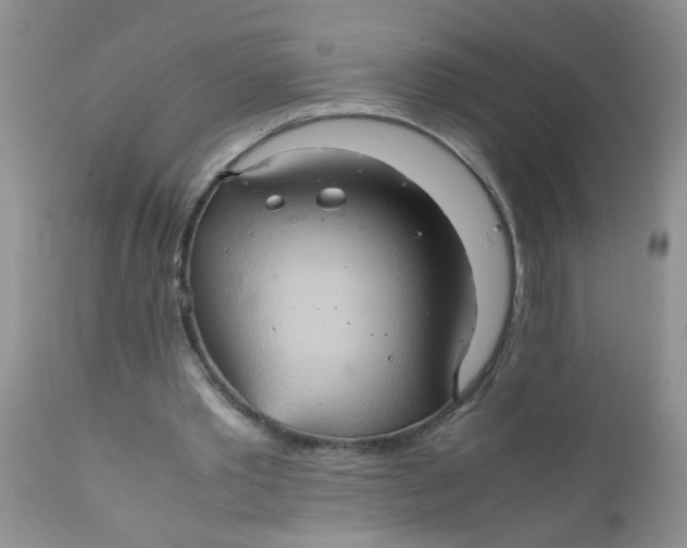 X0000111900389200908171243