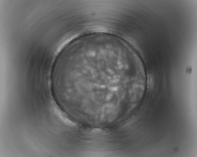 X0000111900390200908171243