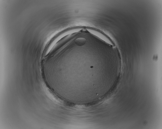 X0000111900391200908171243