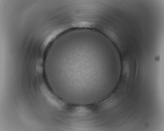 X0000111900392200908171243