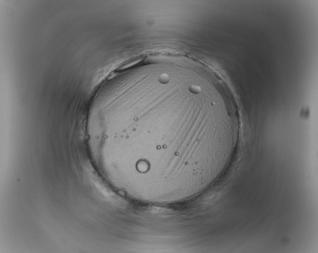 X0000111900393200908171243